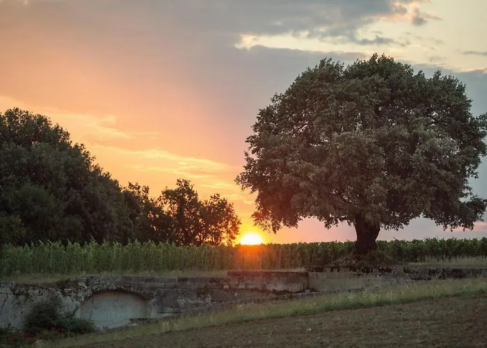 Le Relais De Franc Mayne Saint Emilion