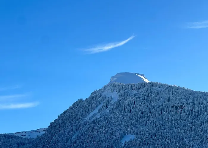 Hotel Igloo Morzine