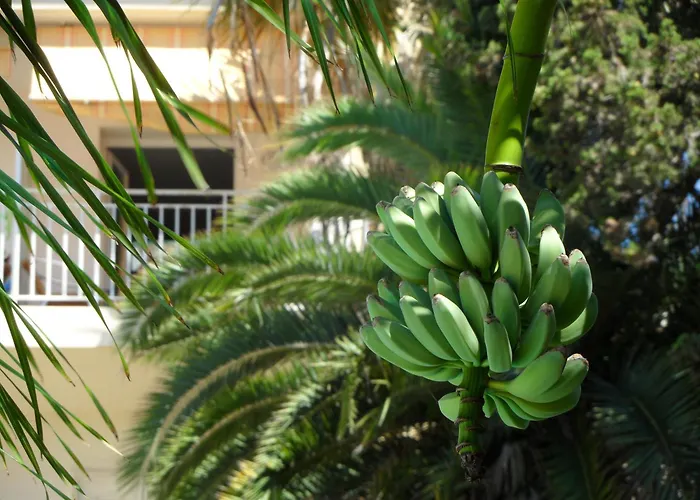 Cannes Aparthotels