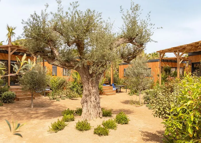 Luxury Hotels in Saint-Tropez