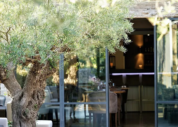 Domaine La Pierre Blanche Hotel Eygalieres 